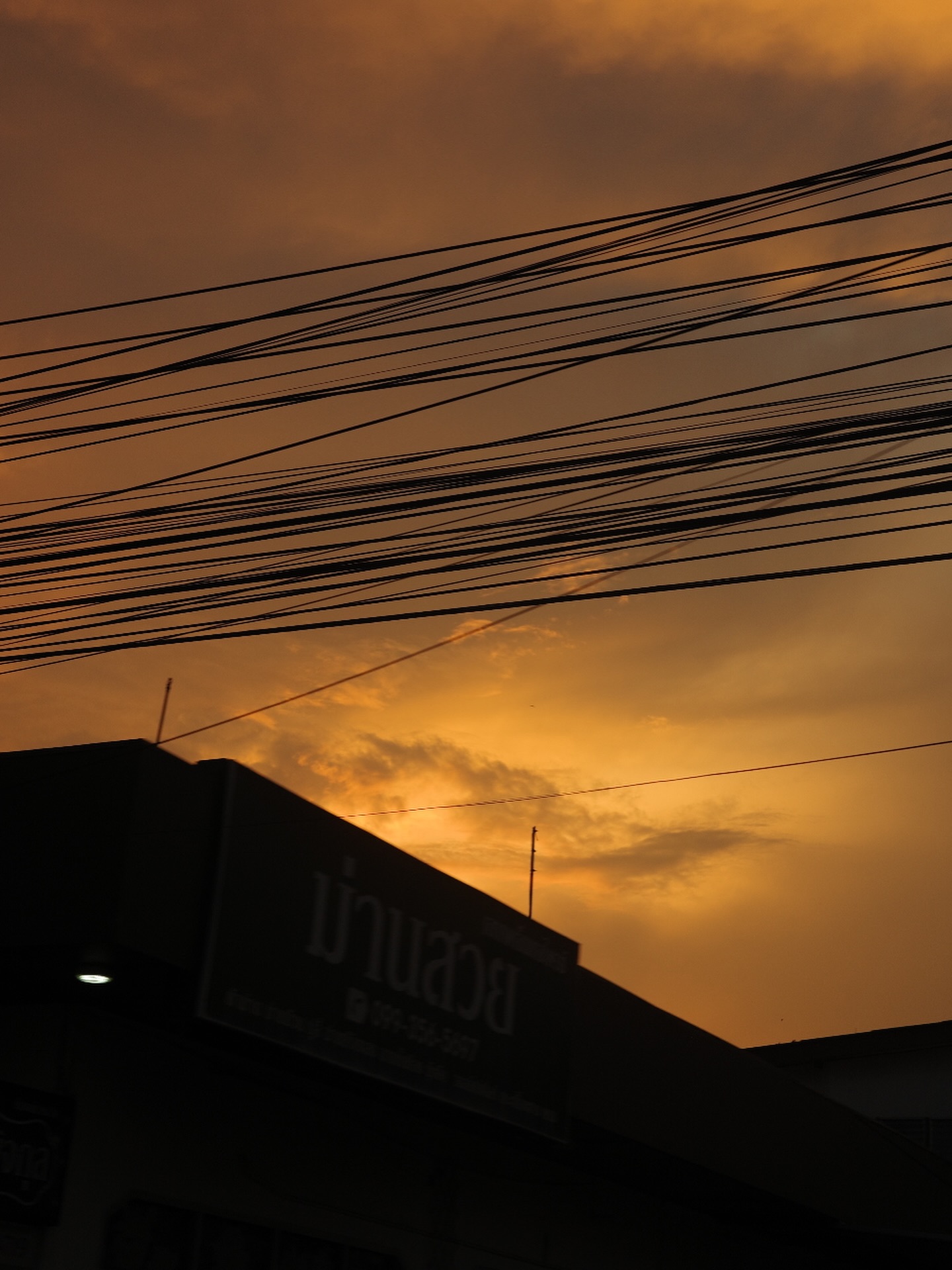 ไข่มุก - รุ่งรัตน์ เหม็งพานิช