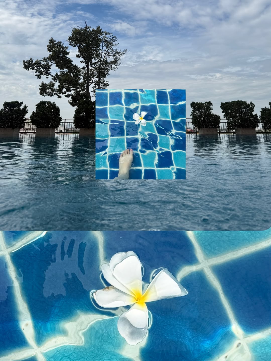ไข่มุก - รุ่งรัตน์ เหม็งพานิช