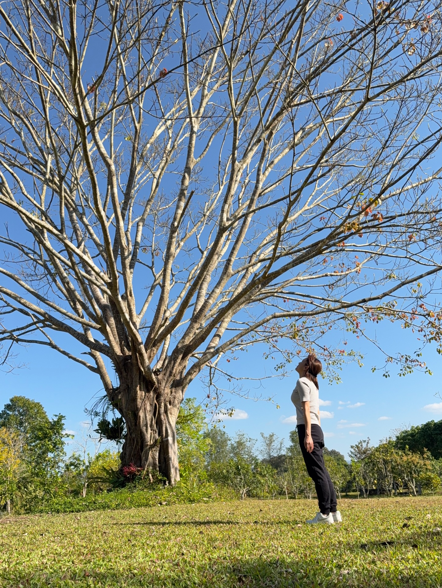 นิหน่า - สุฐิตา ปัญญายงค์