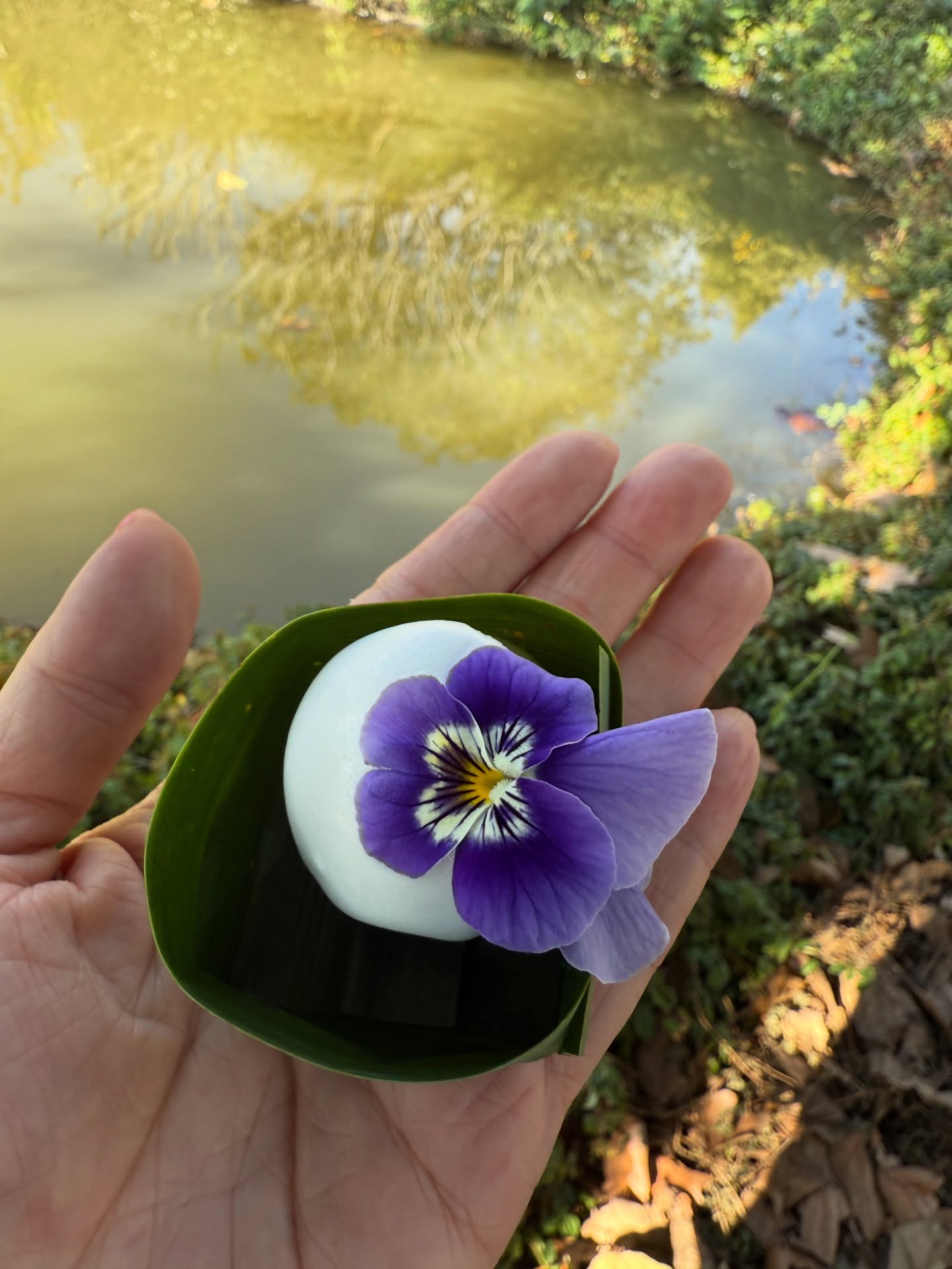 นิหน่า - สุฐิตา ปัญญายงค์