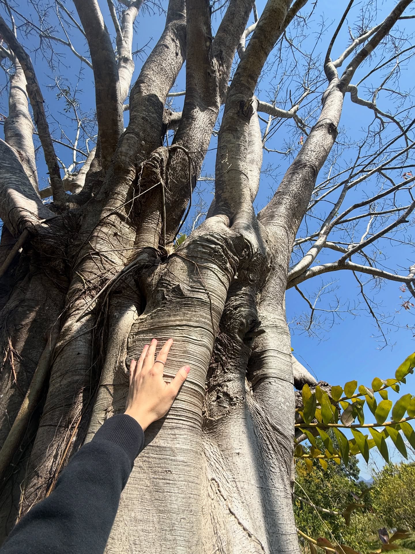 นิหน่า - สุฐิตา ปัญญายงค์