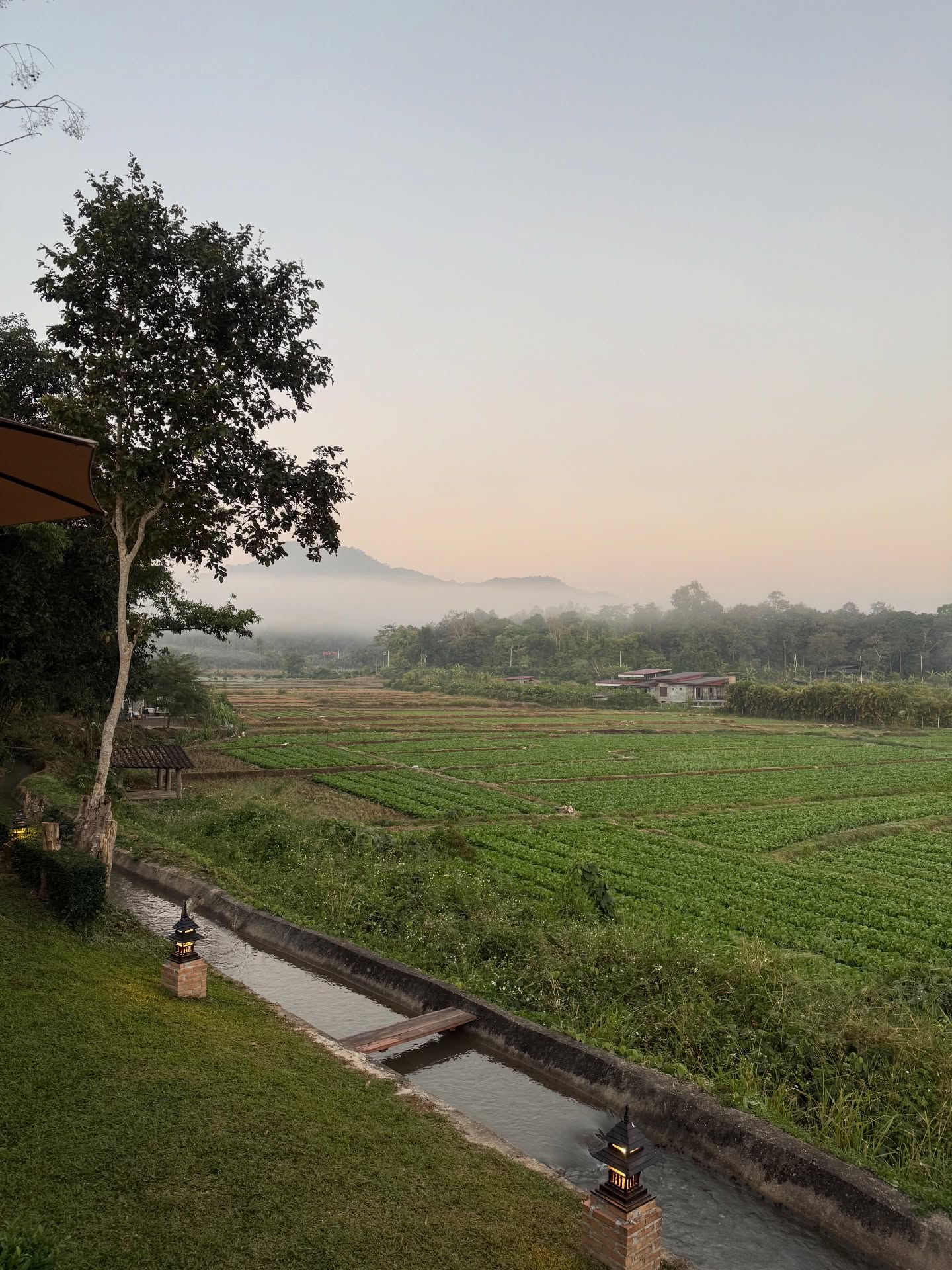 นิหน่า - สุฐิตา ปัญญายงค์