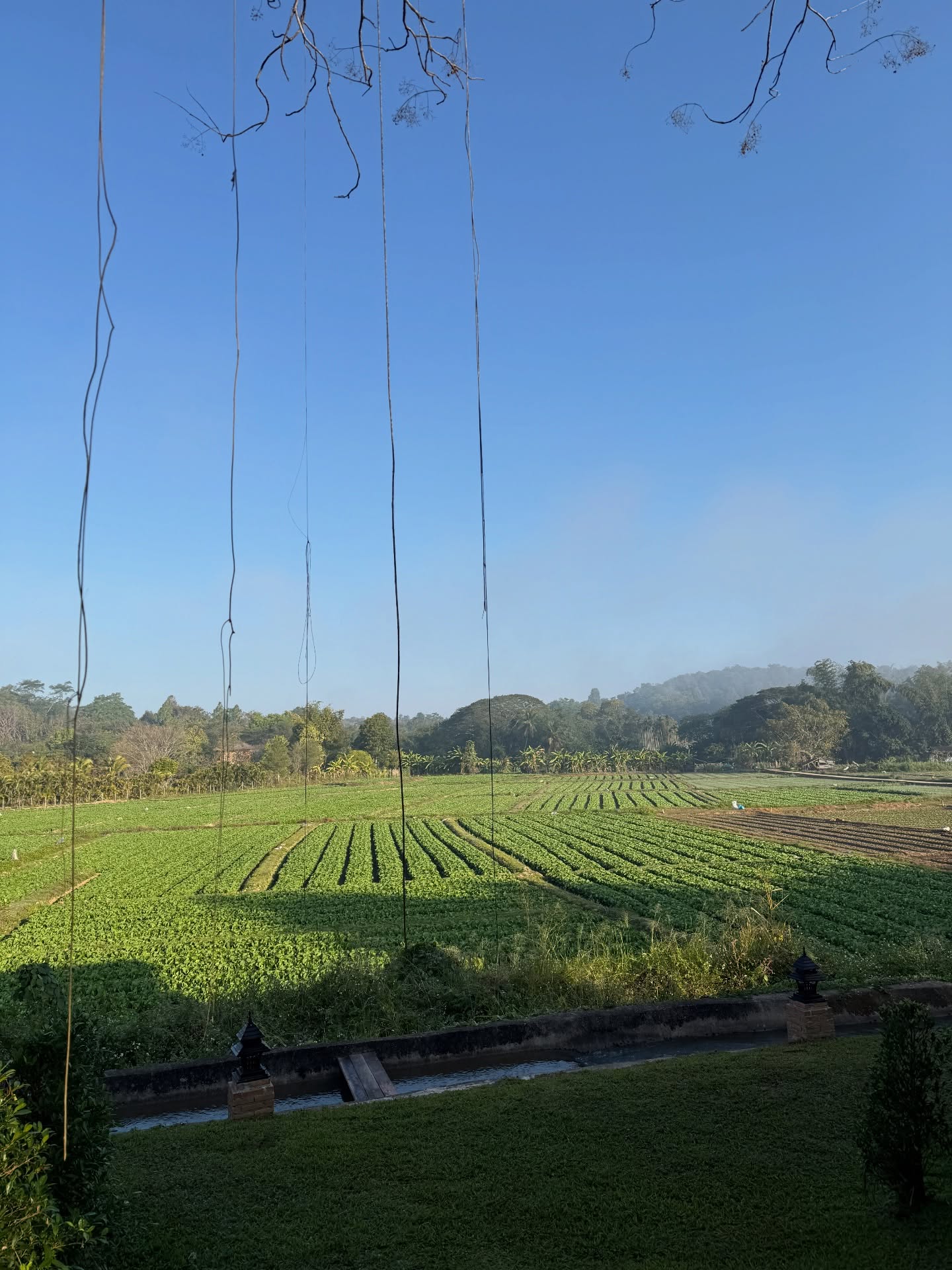 นิหน่า - สุฐิตา ปัญญายงค์