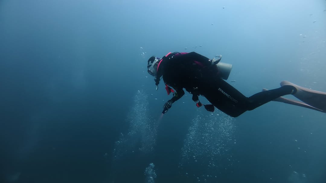 นิหน่า - สุฐิตา ปัญญายงค์