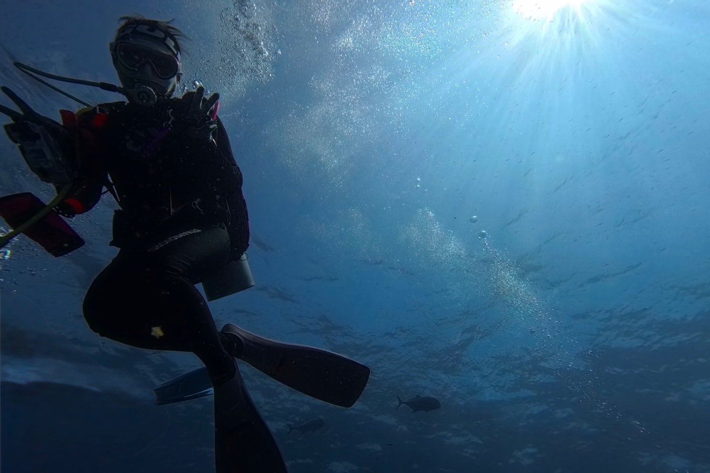 นิหน่า - สุฐิตา ปัญญายงค์