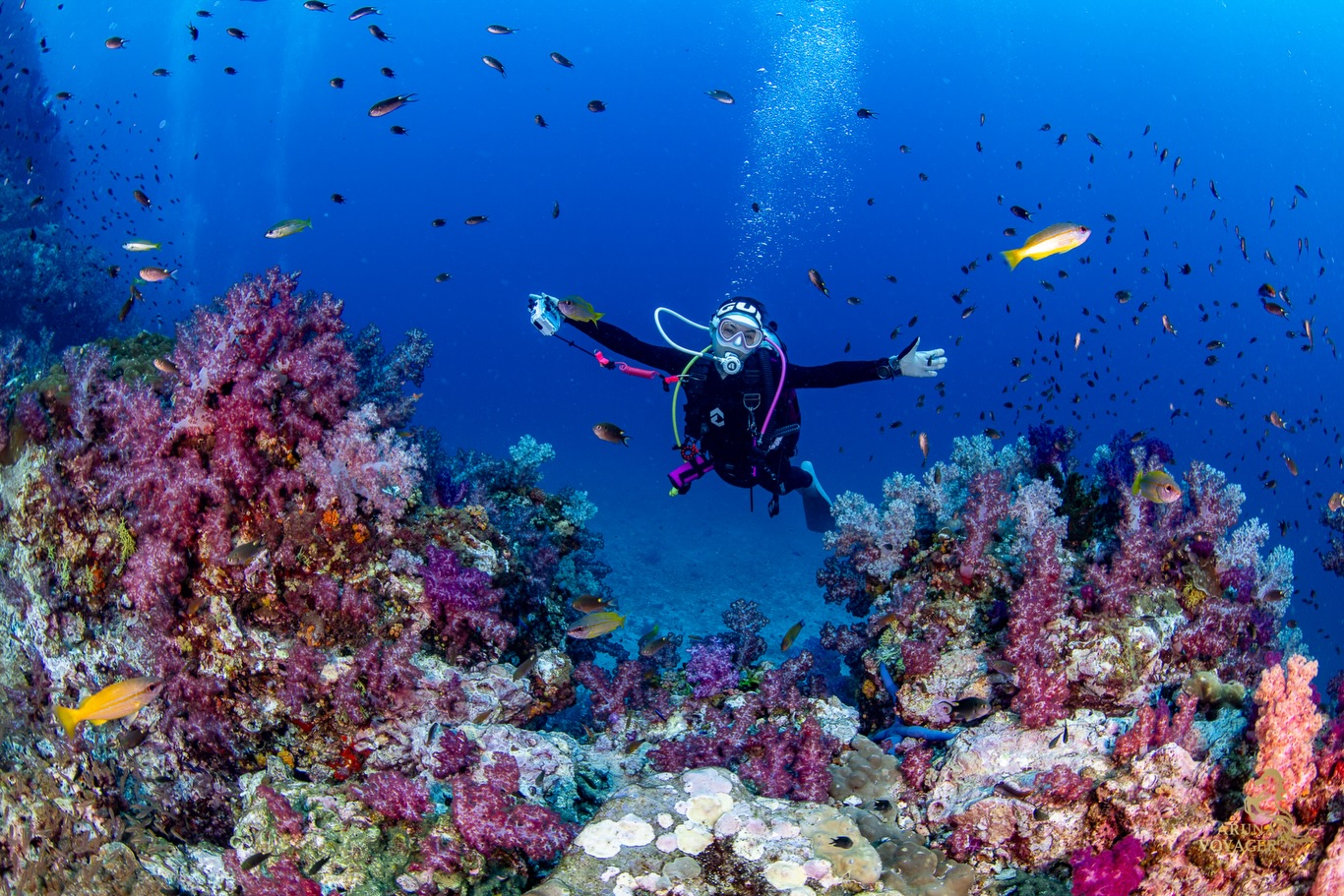 นิหน่า - สุฐิตา ปัญญายงค์