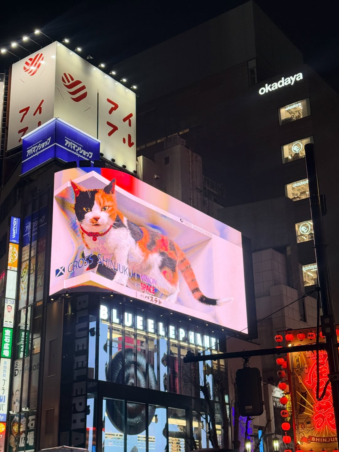 นิหน่า - สุฐิตา ปัญญายงค์