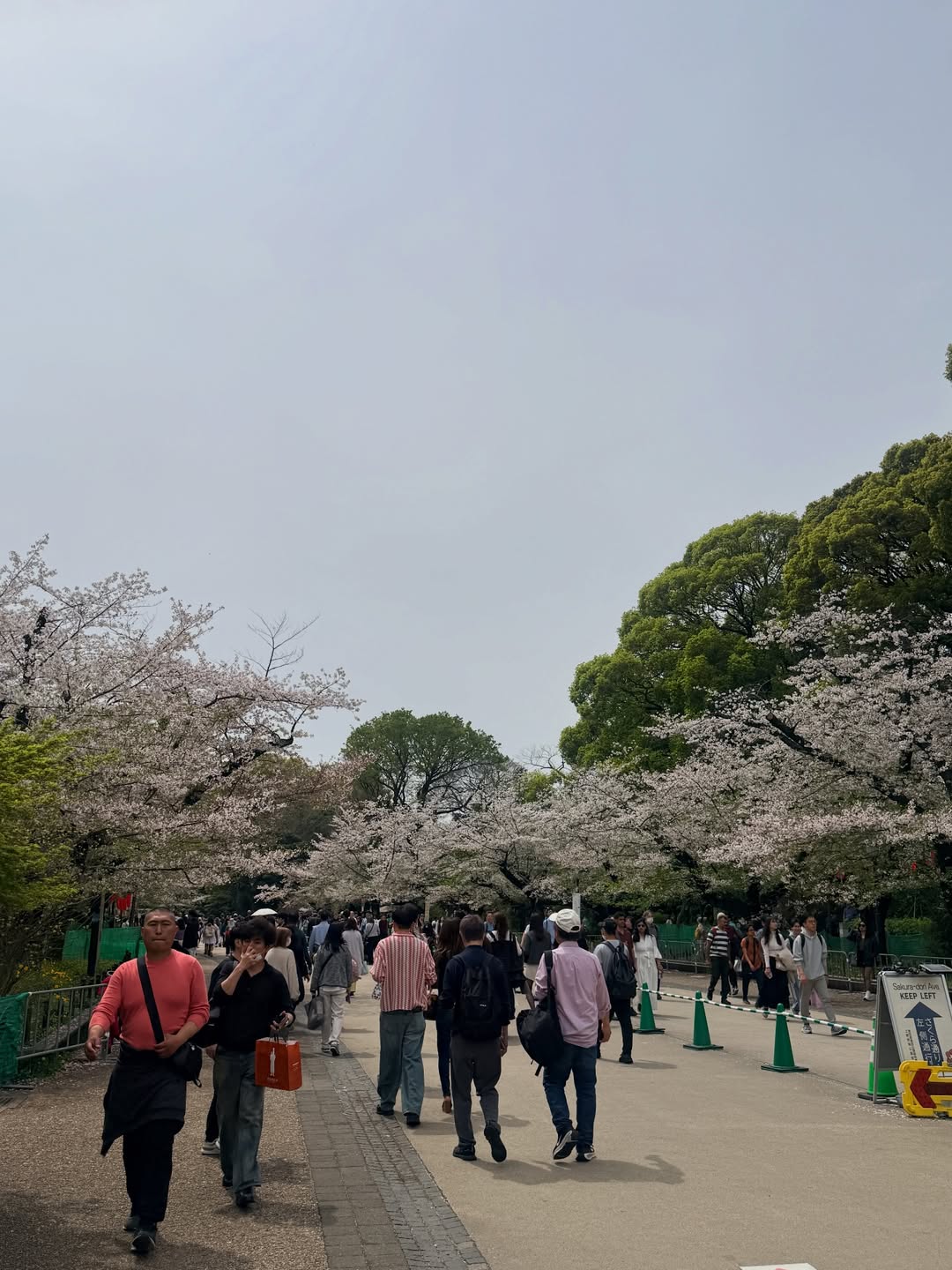 นิหน่า - สุฐิตา ปัญญายงค์