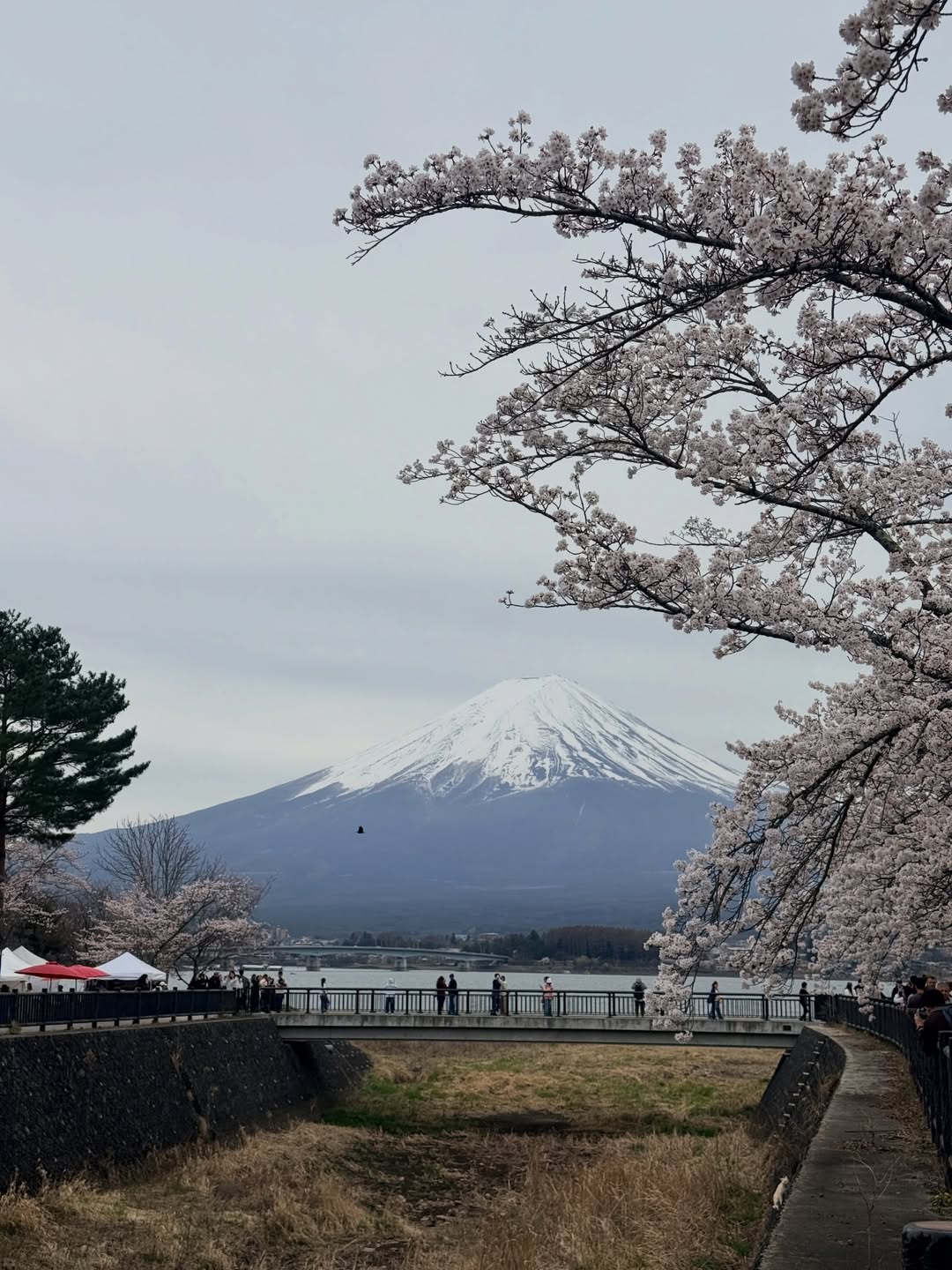 นิหน่า - สุฐิตา ปัญญายงค์