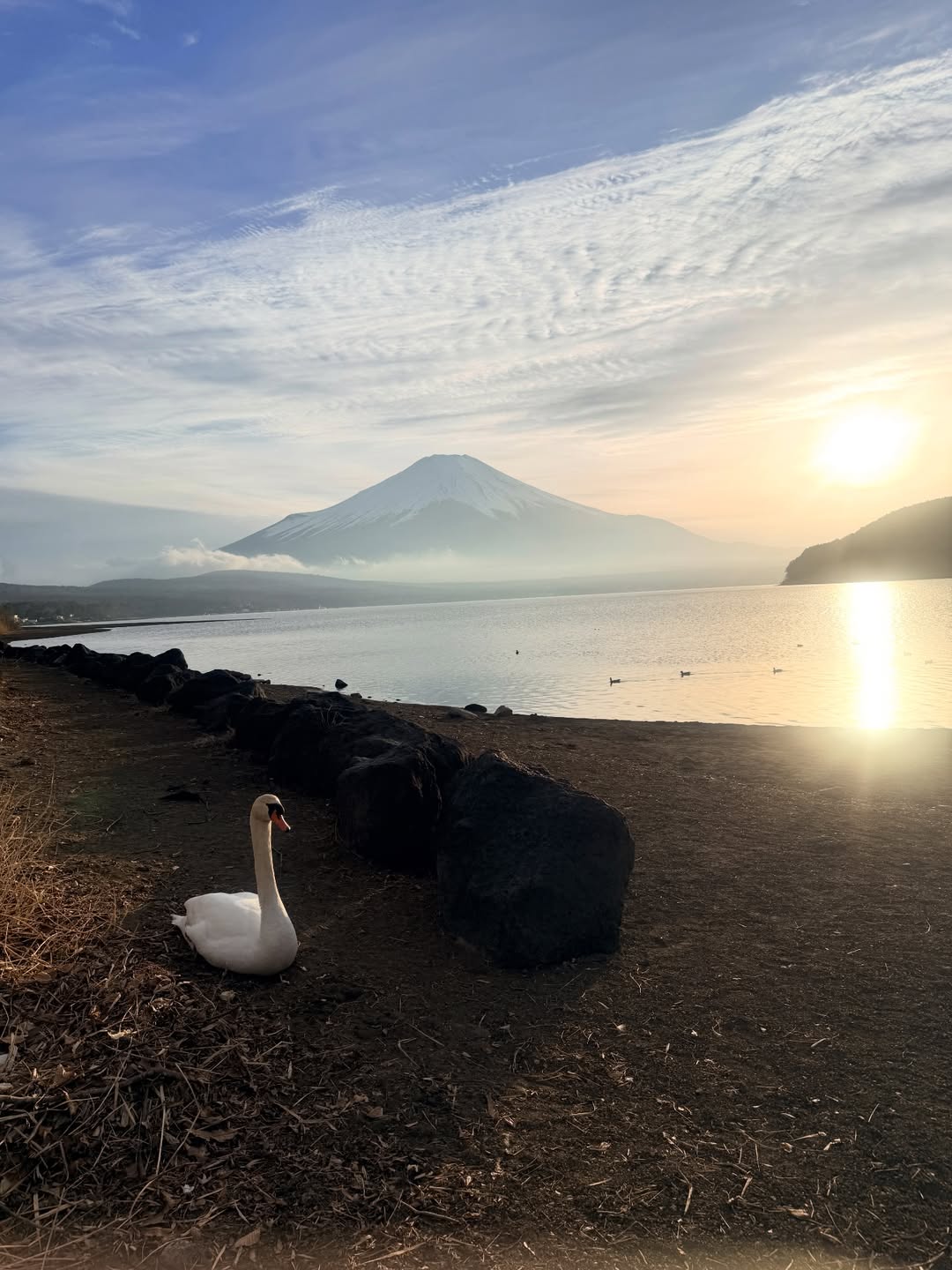 นิหน่า - สุฐิตา ปัญญายงค์