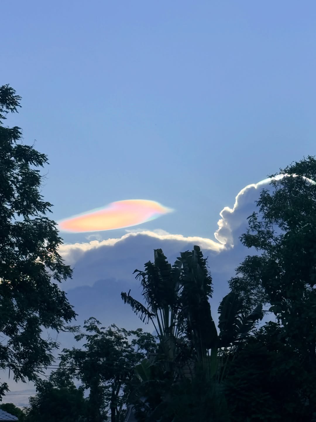 นิหน่า - สุฐิตา ปัญญายงค์