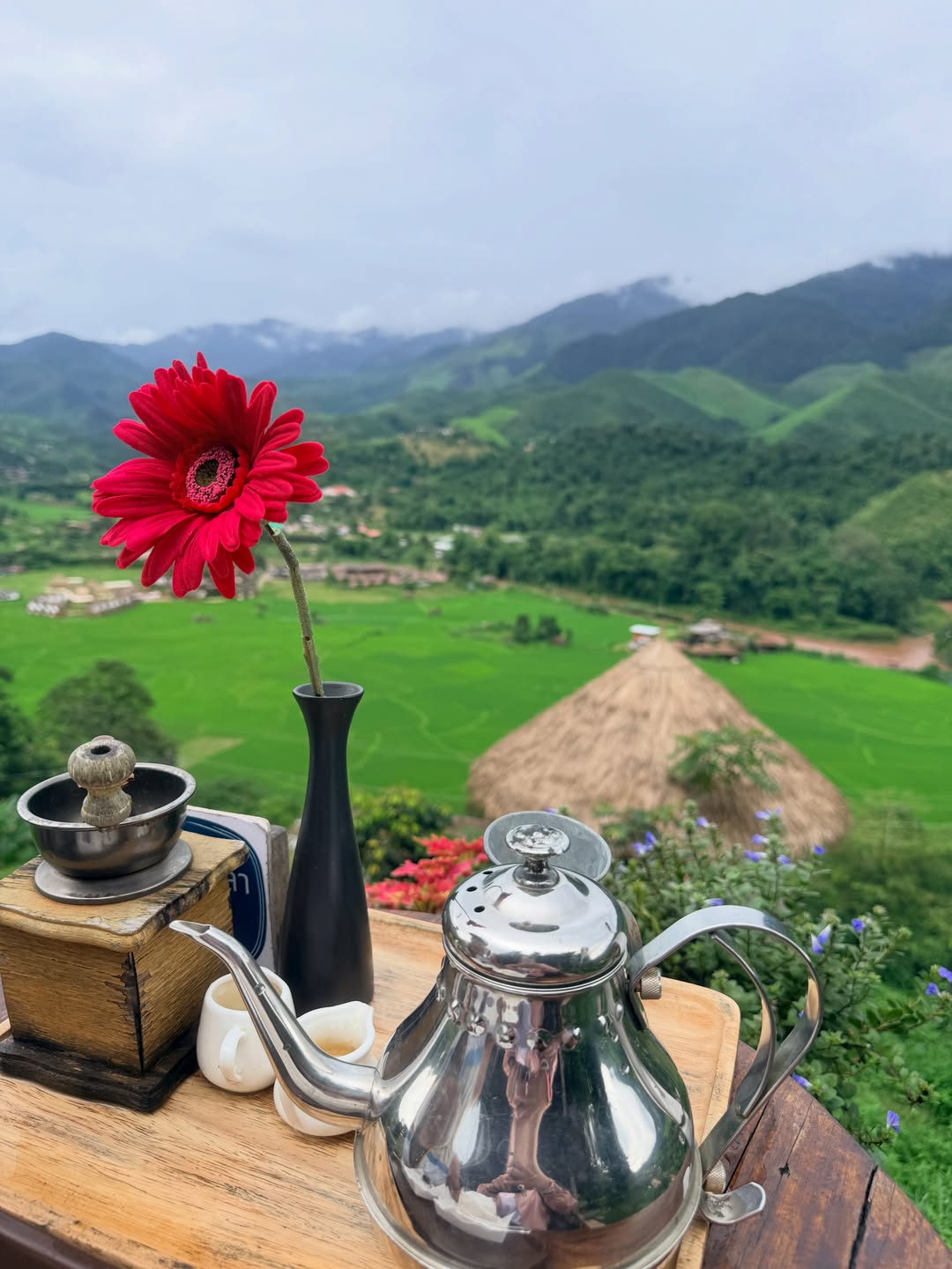 นิหน่า - สุฐิตา ปัญญายงค์
