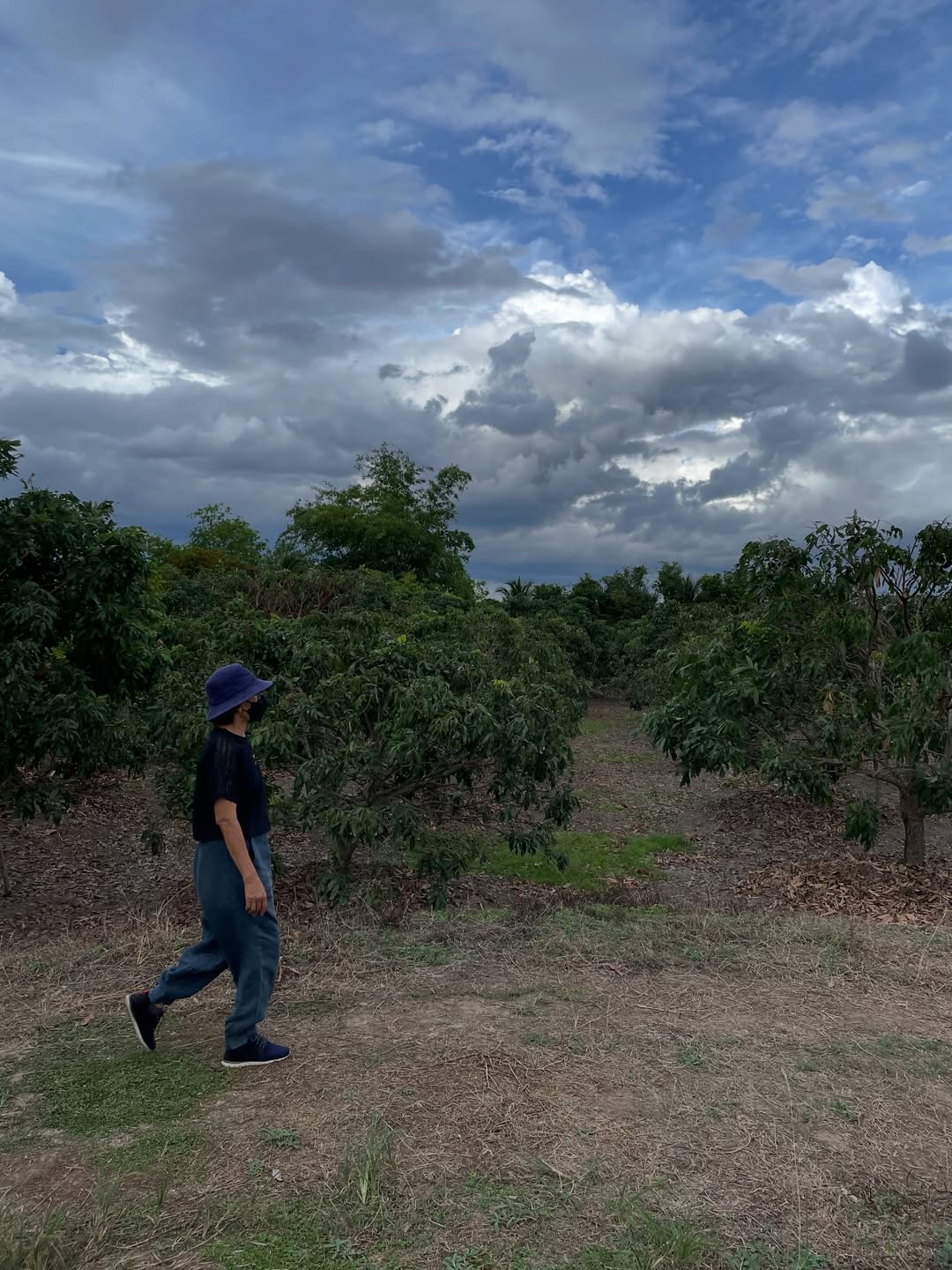 ซาร่า - นลิน โฮเลอร์