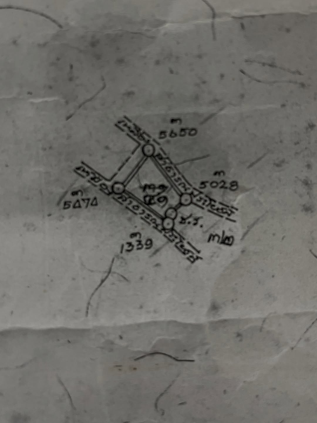 ซาร่า - นลิน โฮเลอร์
