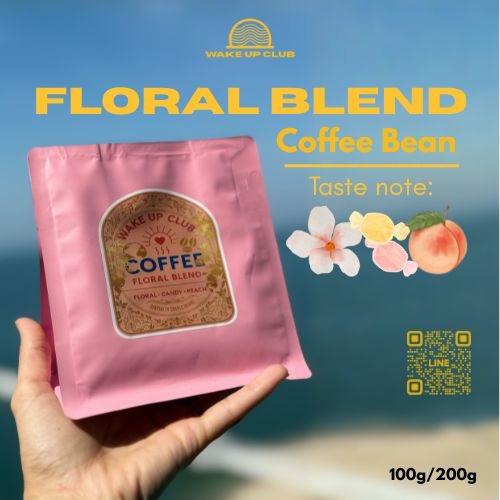 ซาร่า - นลิน โฮเลอร์