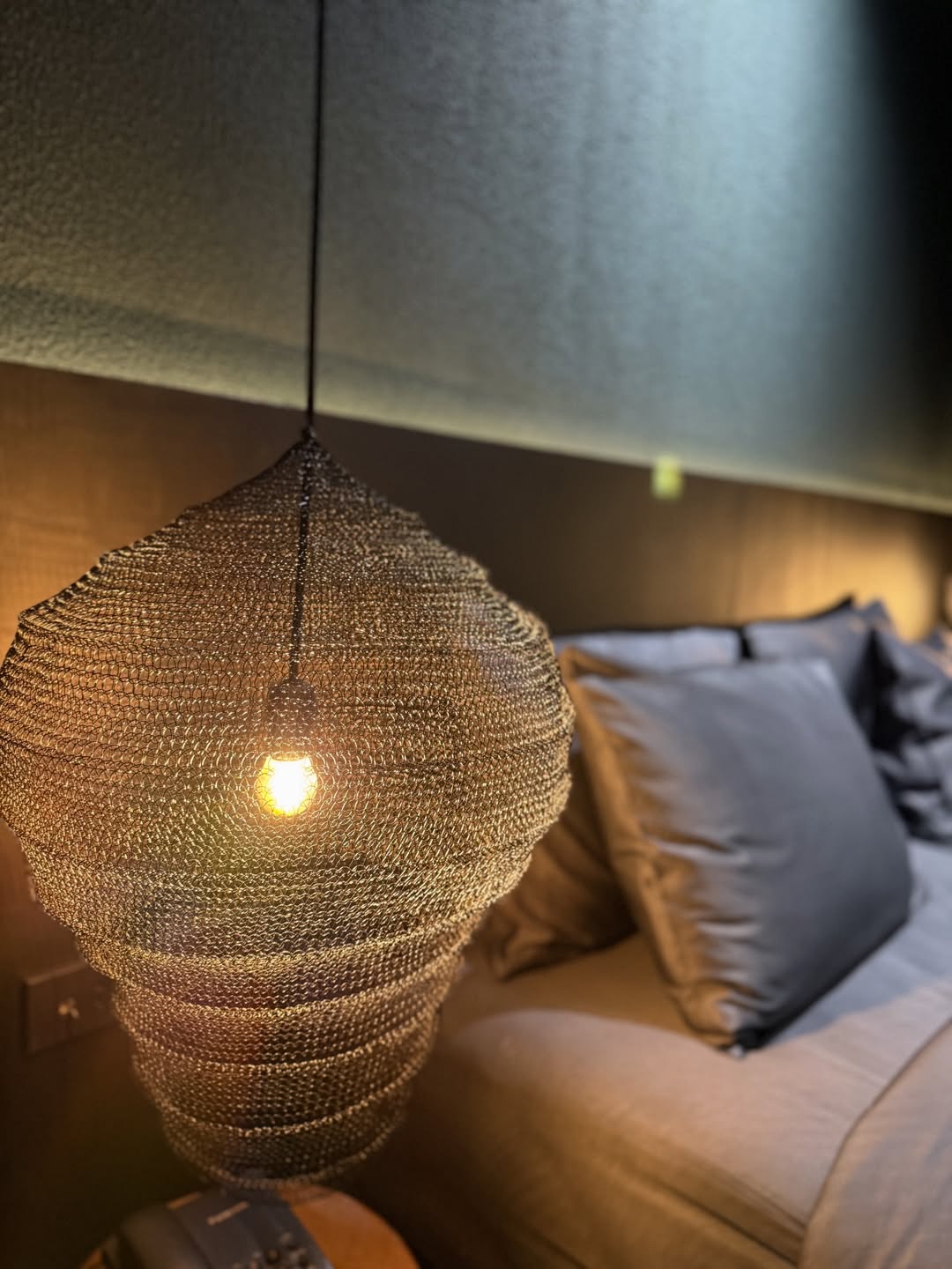 ซาร่า - นลิน โฮเลอร์