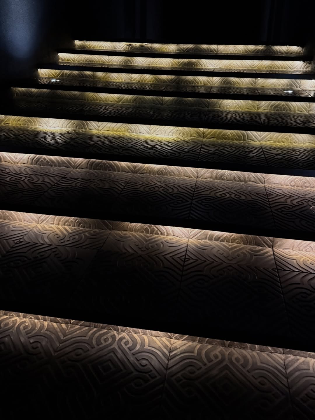 ซาร่า - นลิน โฮเลอร์