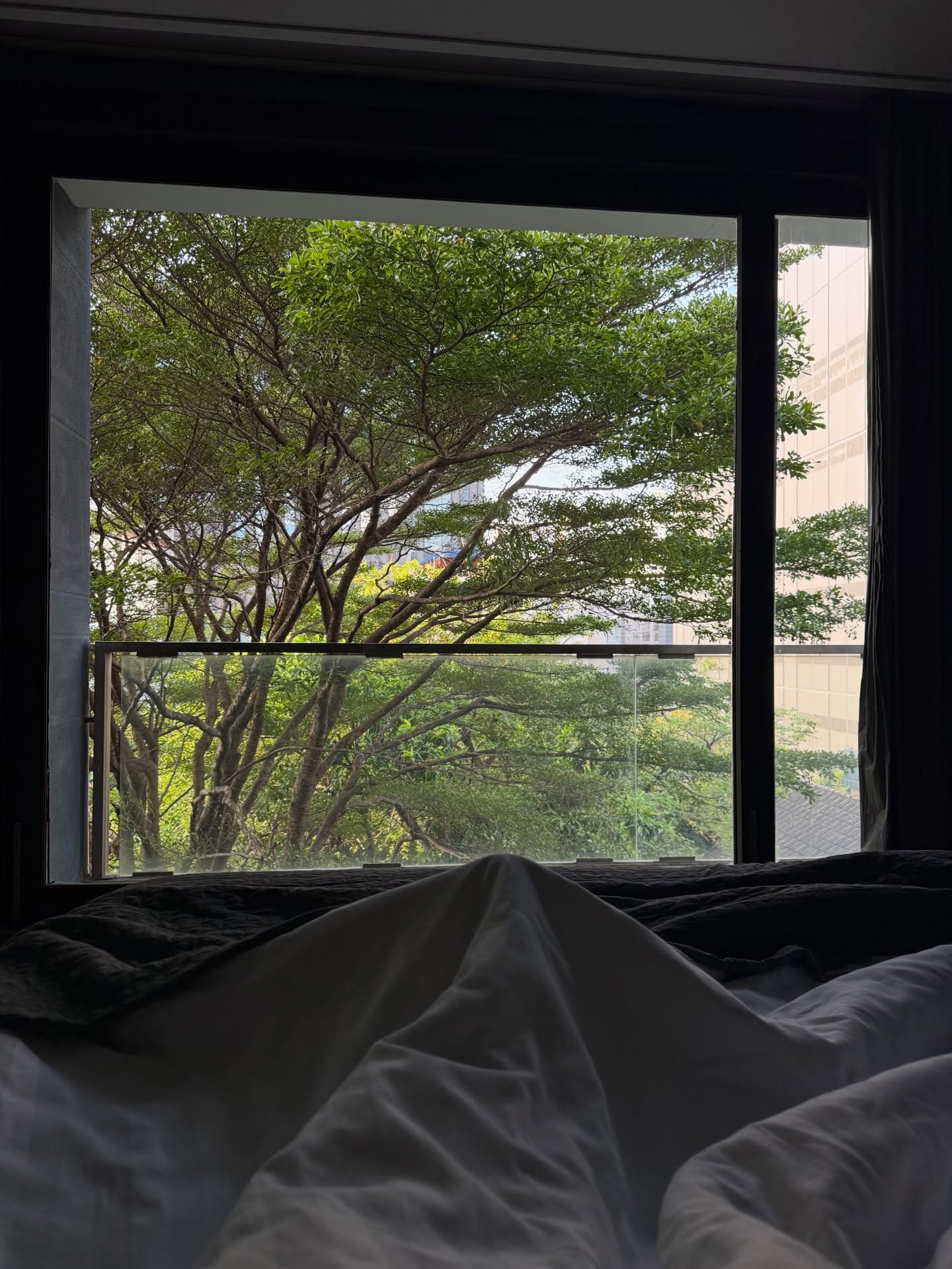 ซาร่า - นลิน โฮเลอร์