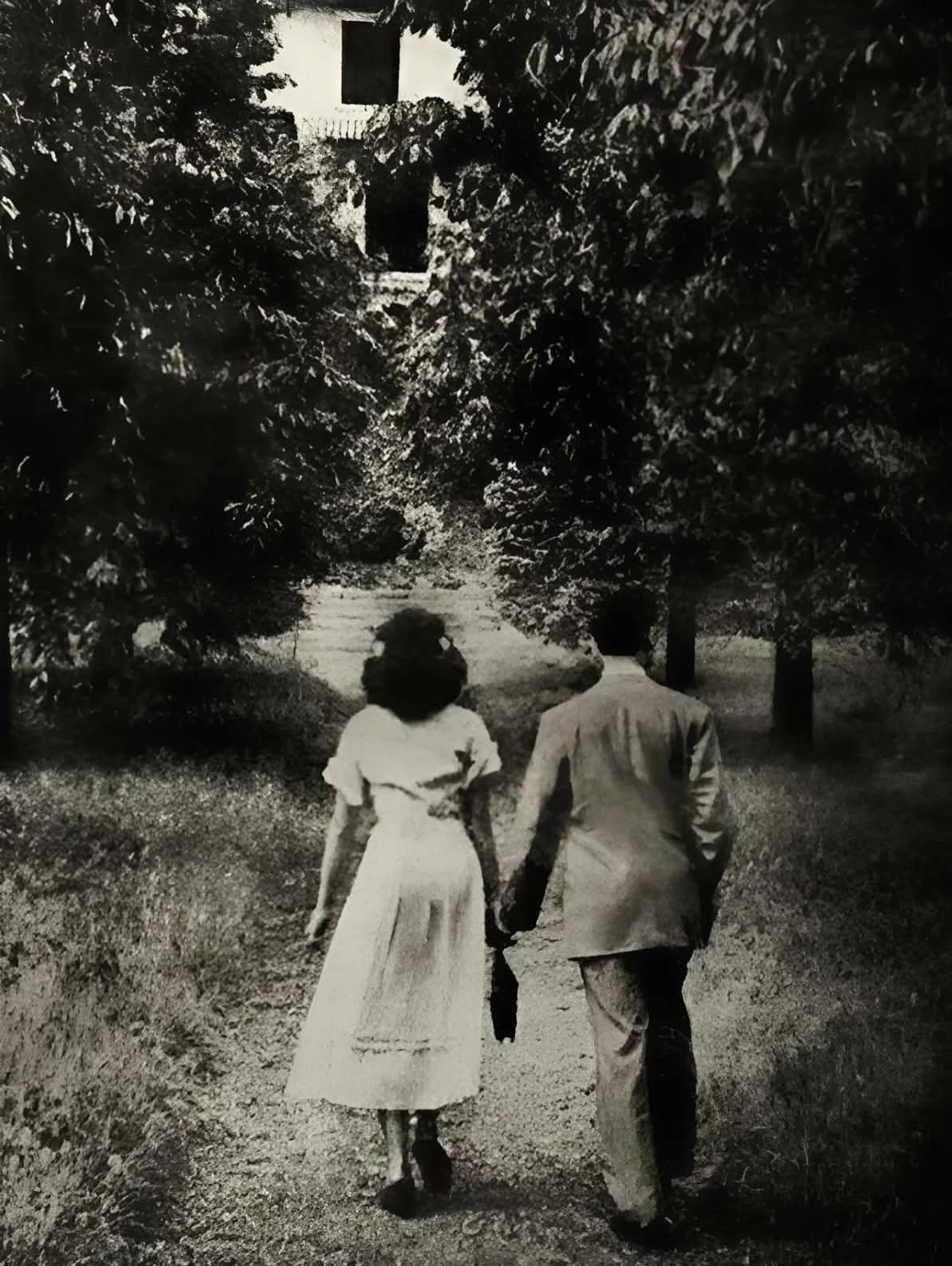 มาช่า วัฒนพานิช