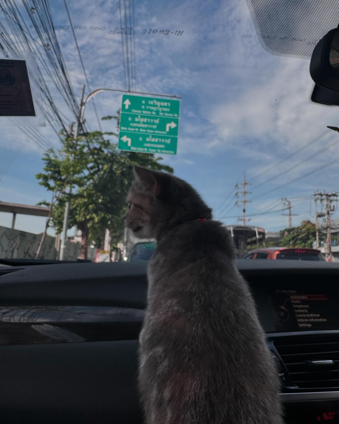ใบปอ - ธิติยา จิระพรศิลป์