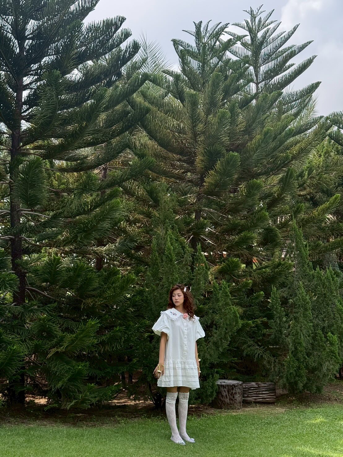 ใบปอ - ธิติยา จิระพรศิลป์