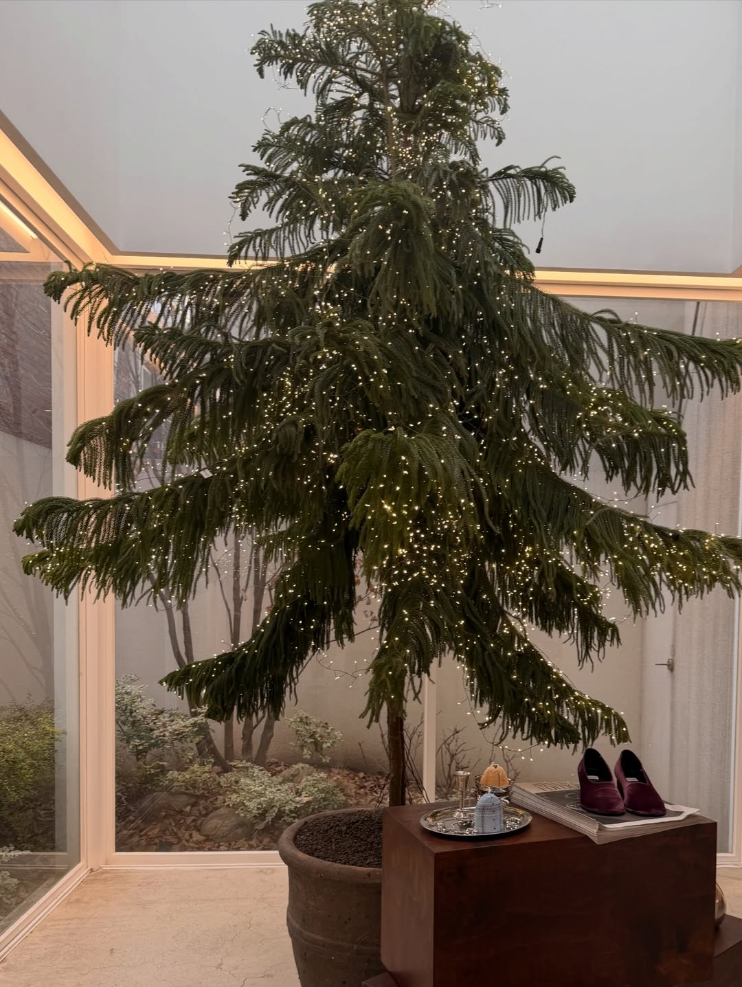 ใบปอ - ธิติยา จิระพรศิลป์