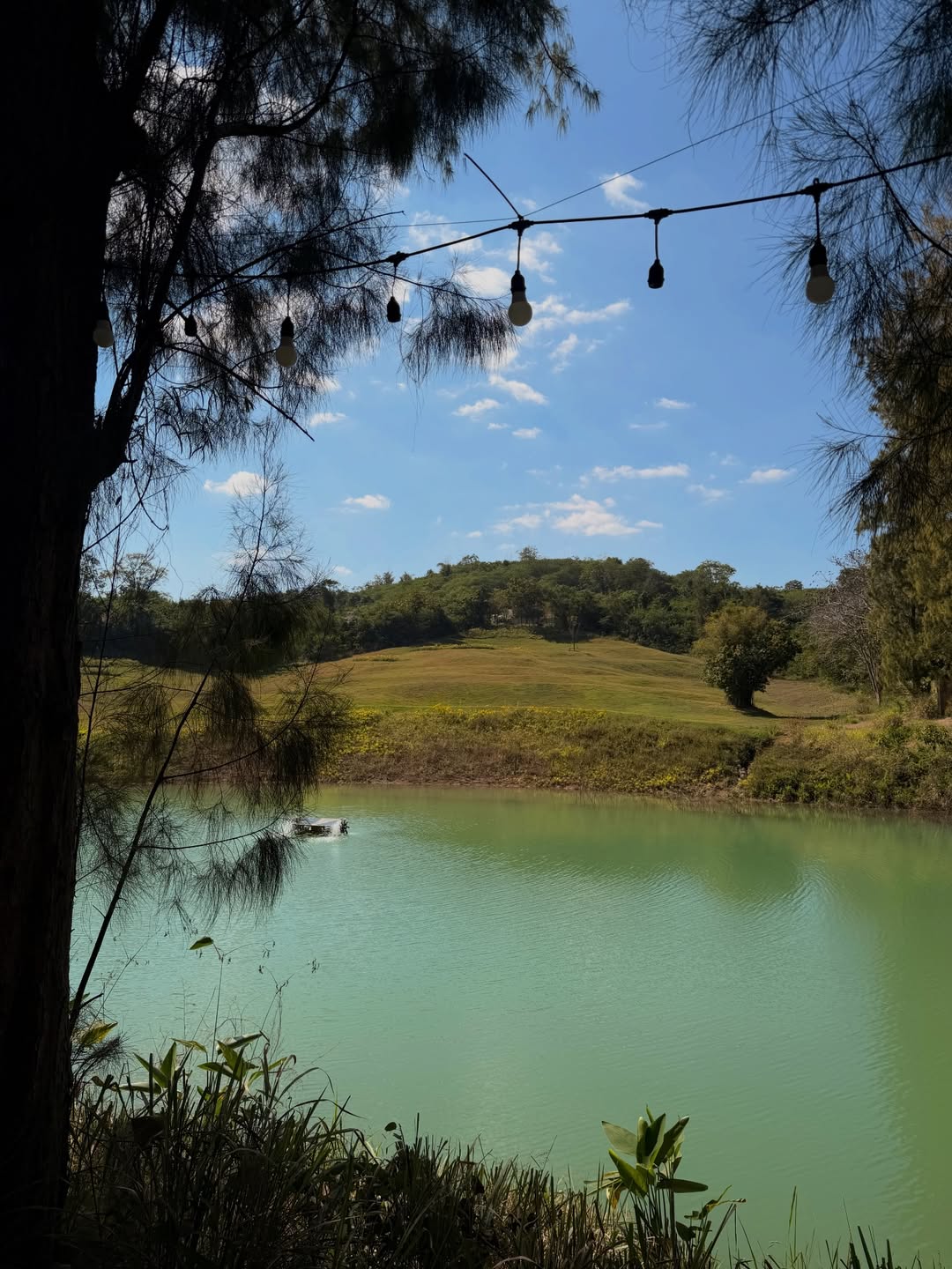 ใบปอ - ธิติยา จิระพรศิลป์