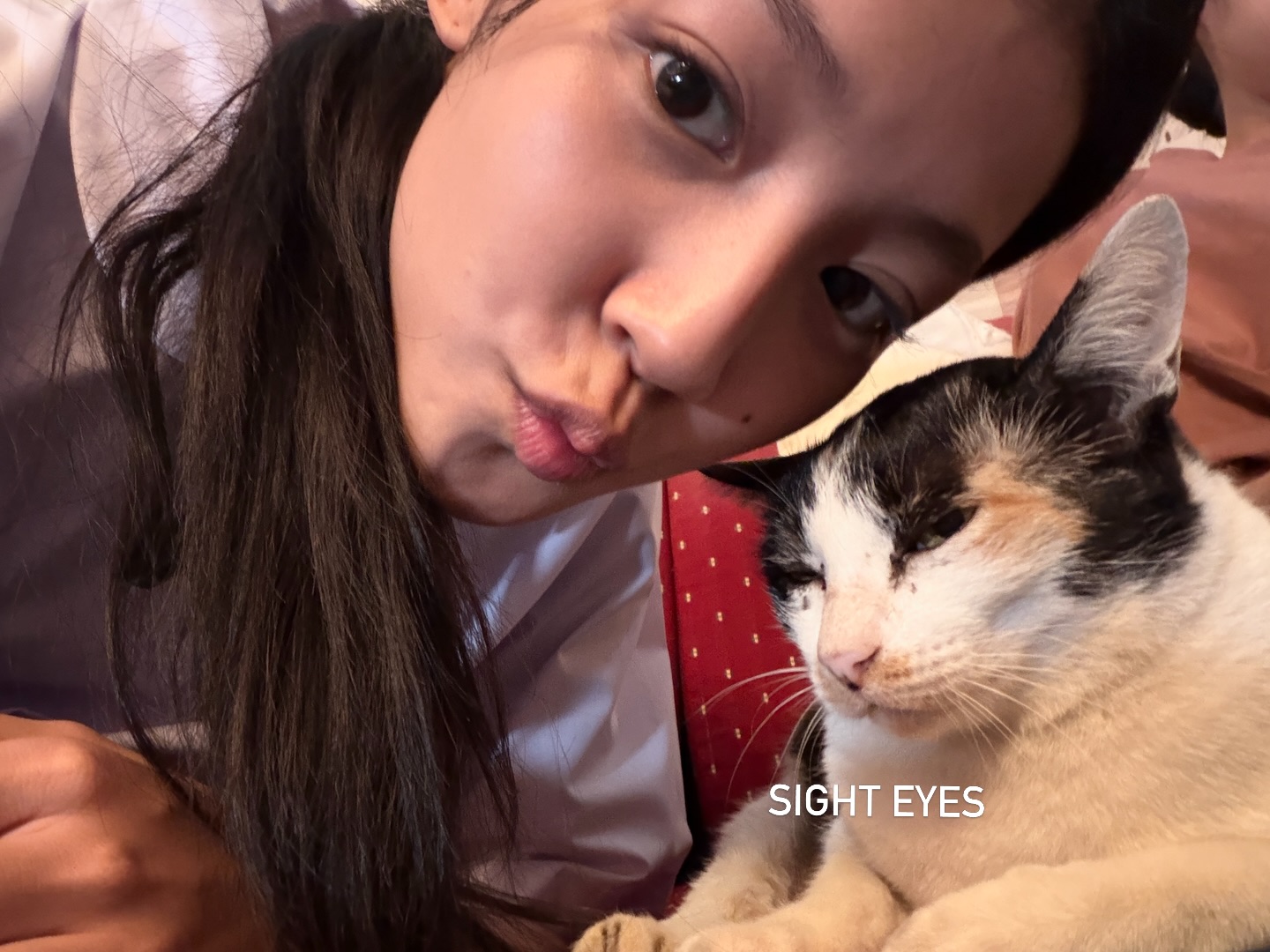 ใบปอ - ธิติยา จิระพรศิลป์