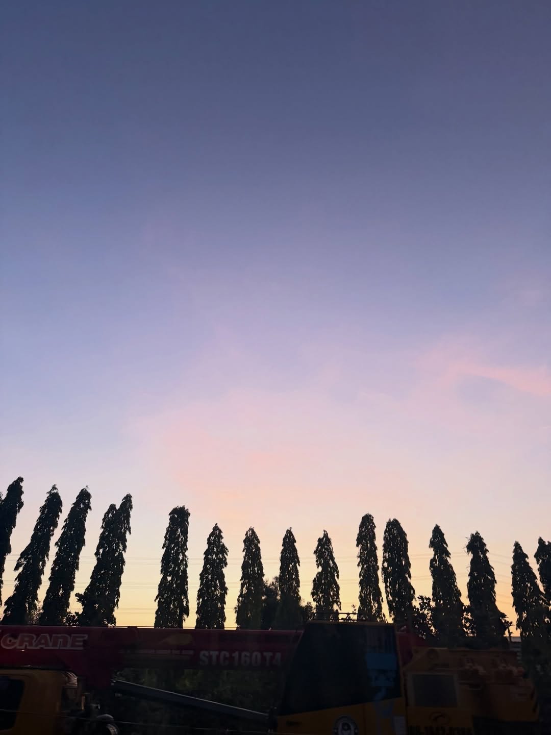 ใบปอ - ธิติยา จิระพรศิลป์