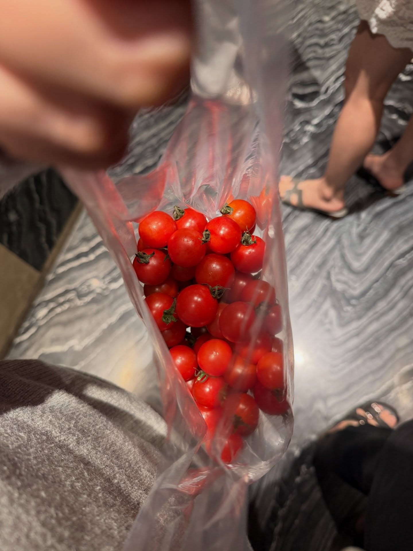 ใบปอ - ธิติยา จิระพรศิลป์