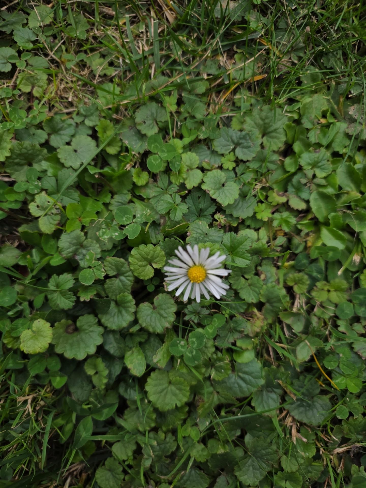ไบเบิ้ล - วิชญ์ภาส สุเมตติกุล