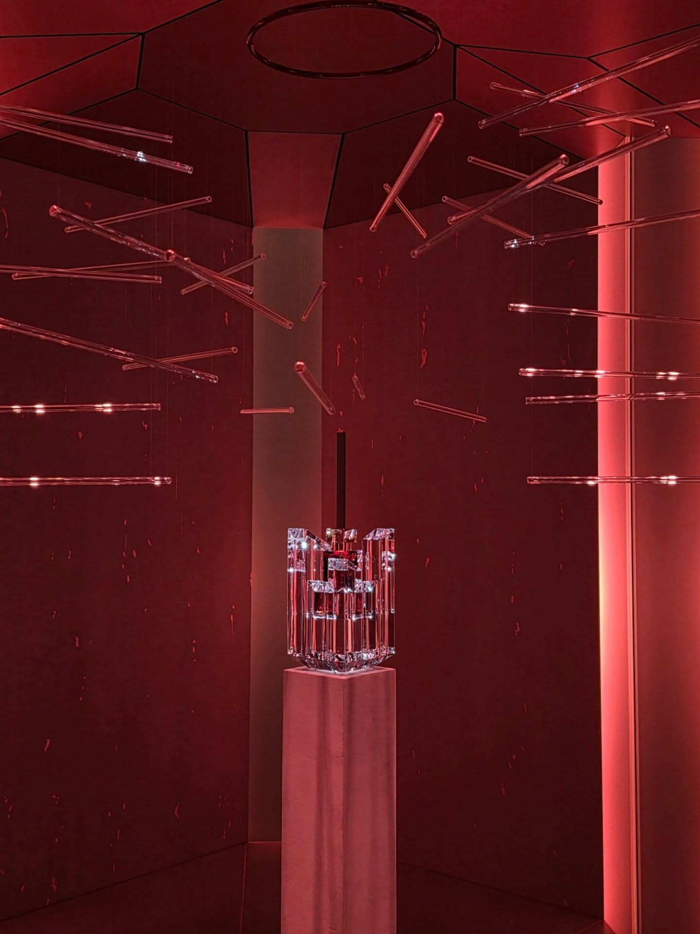 ไบเบิ้ล - วิชญ์ภาส สุเมตติกุล