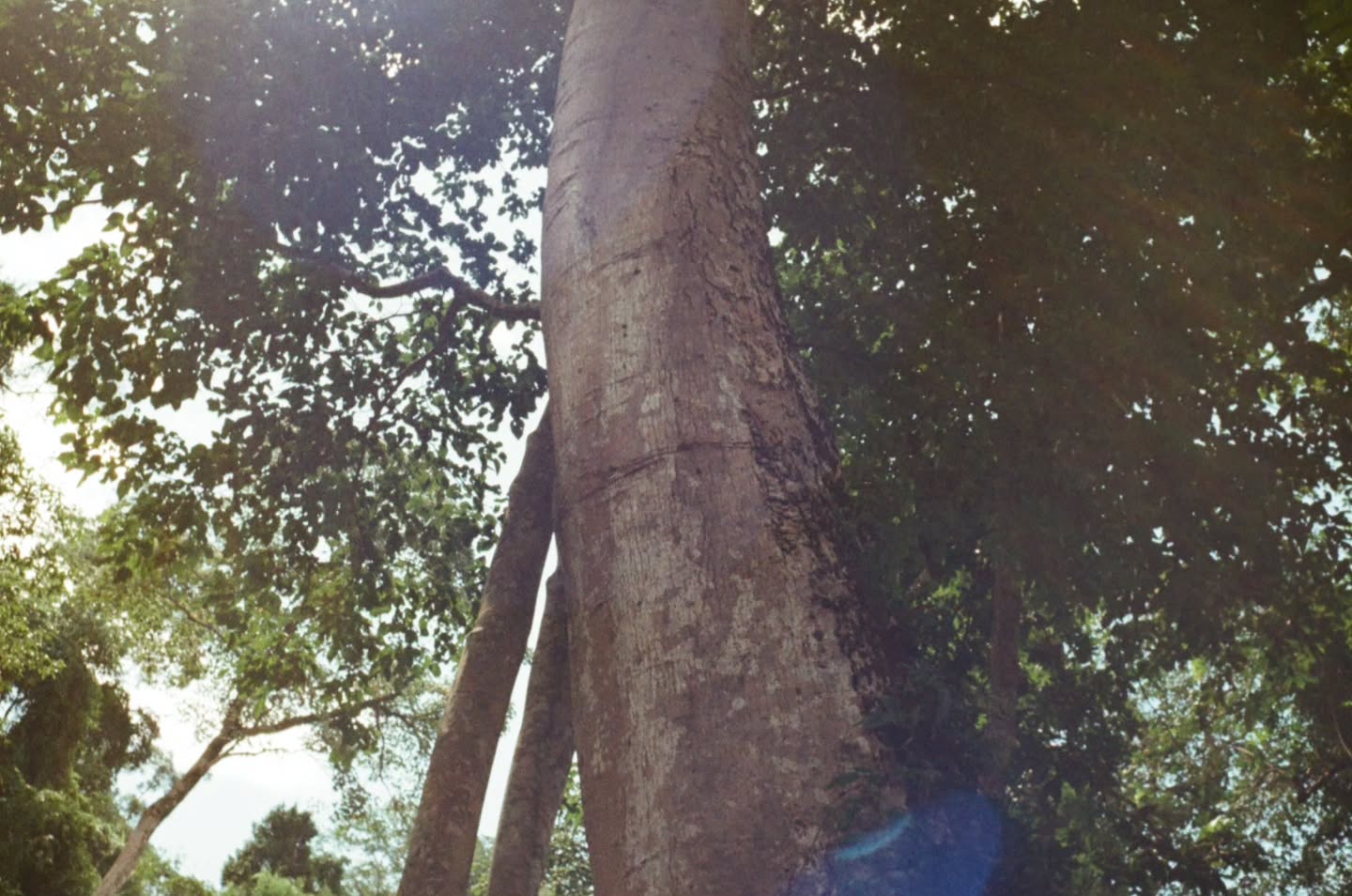 ไบเบิ้ล - วิชญ์ภาส สุเมตติกุล