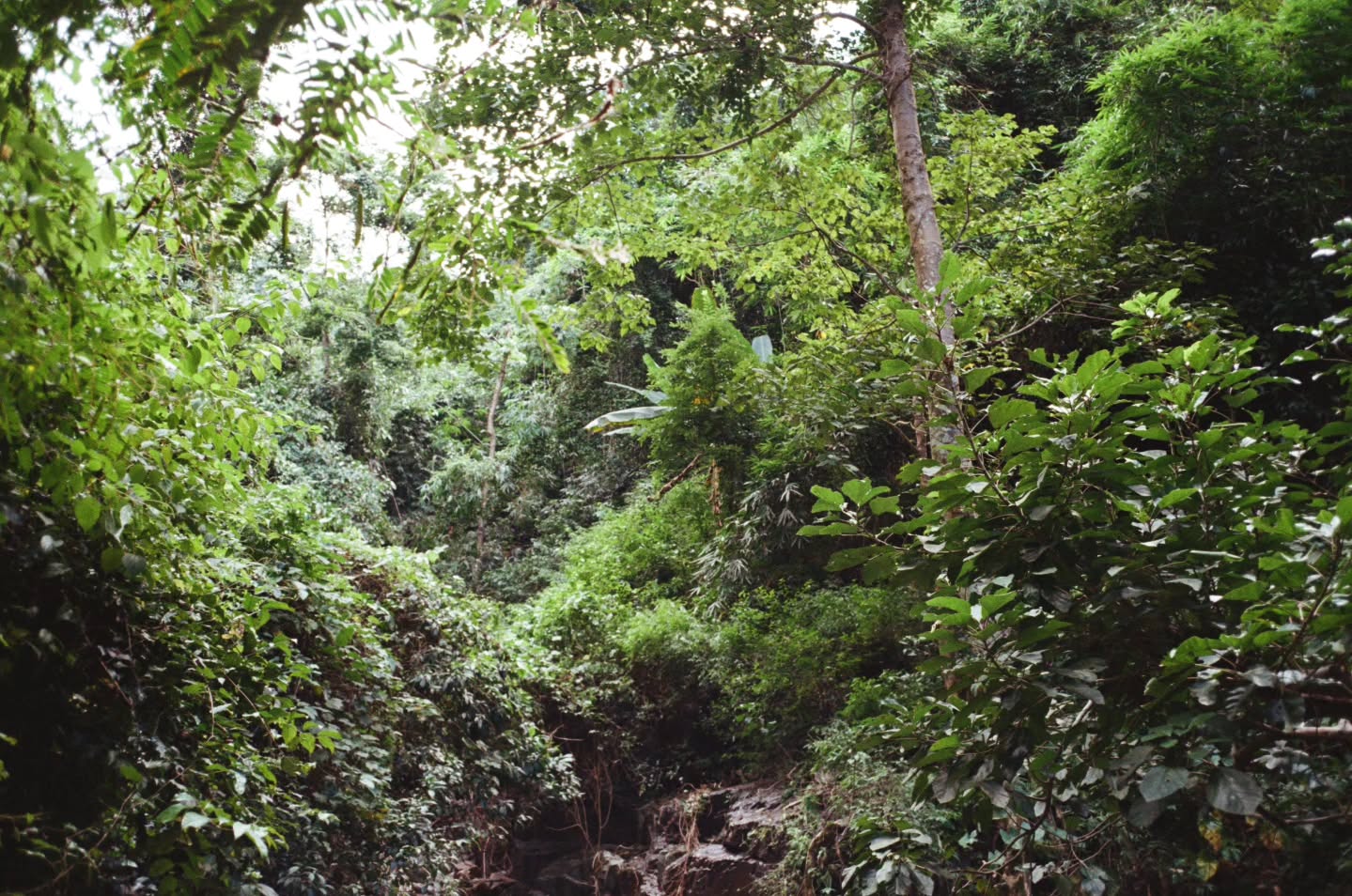 ไบเบิ้ล - วิชญ์ภาส สุเมตติกุล