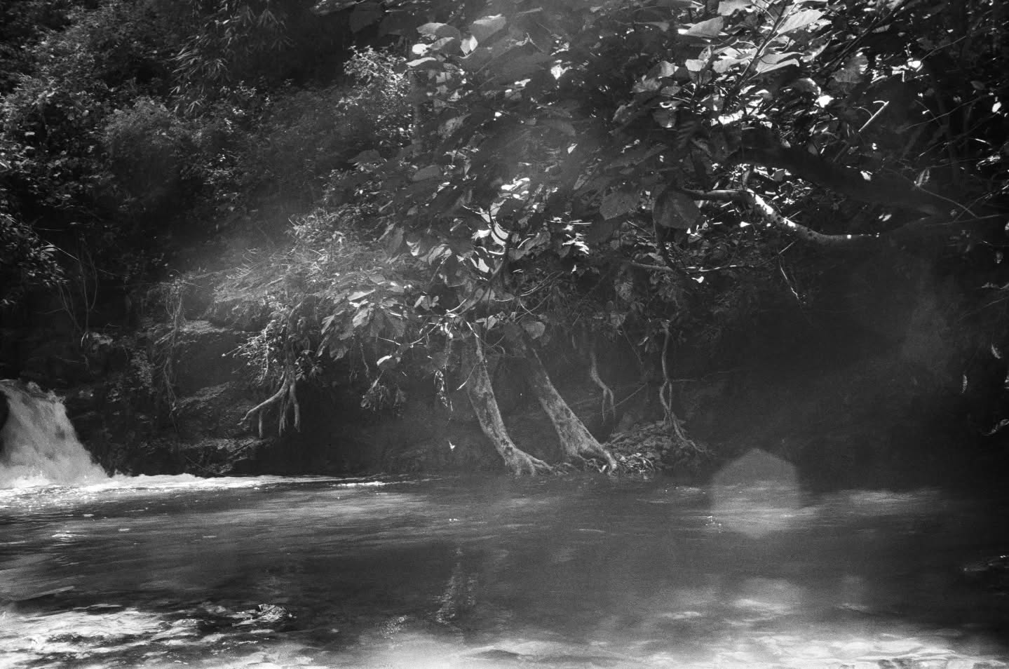 ไบเบิ้ล - วิชญ์ภาส สุเมตติกุล