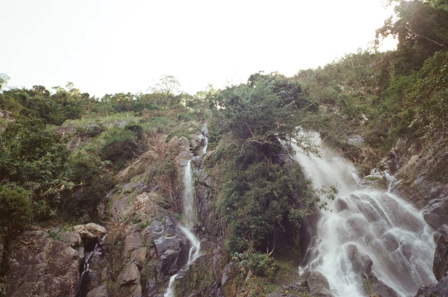 ไบเบิ้ล - วิชญ์ภาส สุเมตติกุล