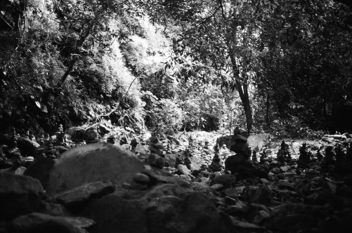 ไบเบิ้ล - วิชญ์ภาส สุเมตติกุล