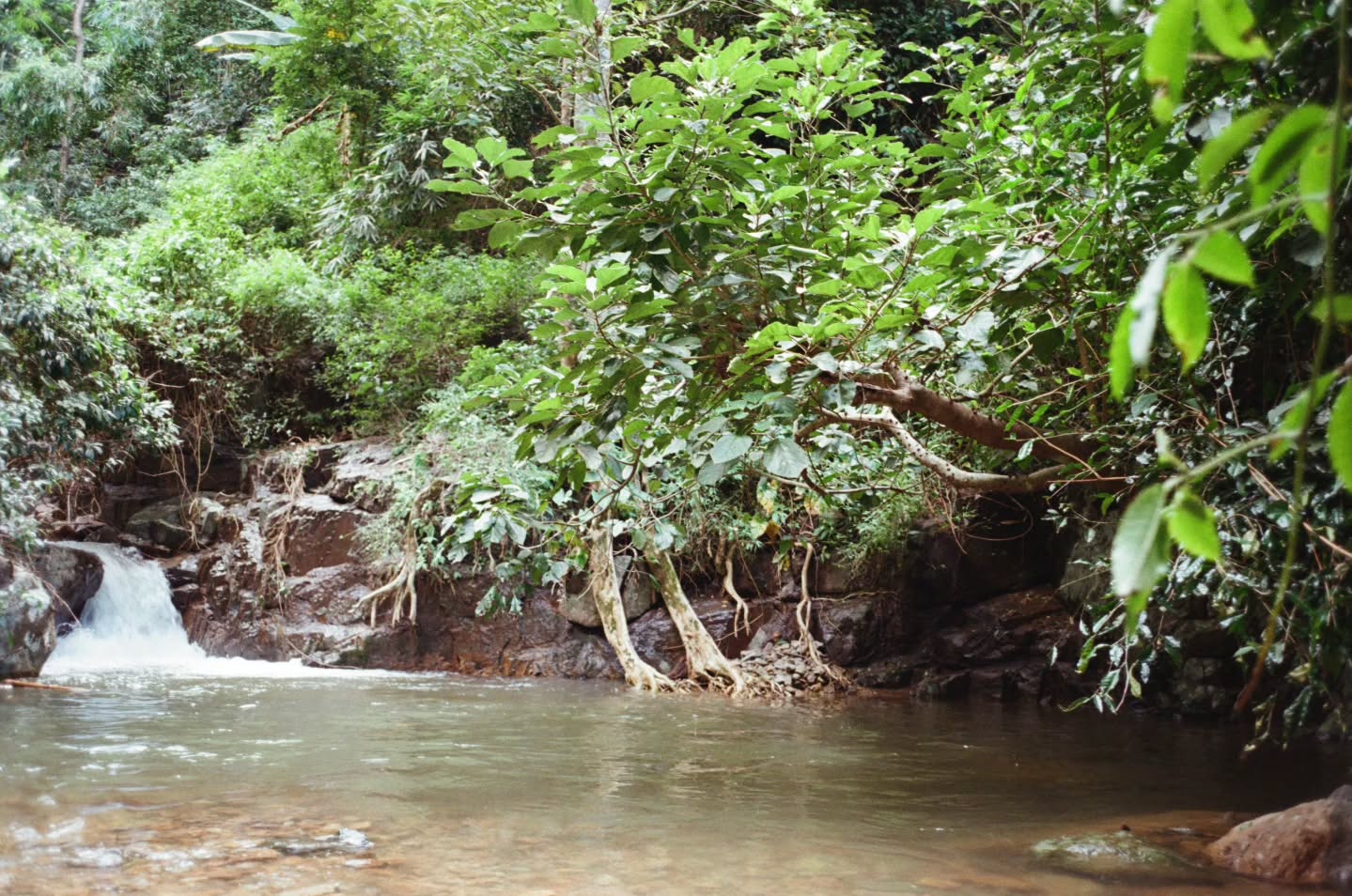 ไบเบิ้ล - วิชญ์ภาส สุเมตติกุล