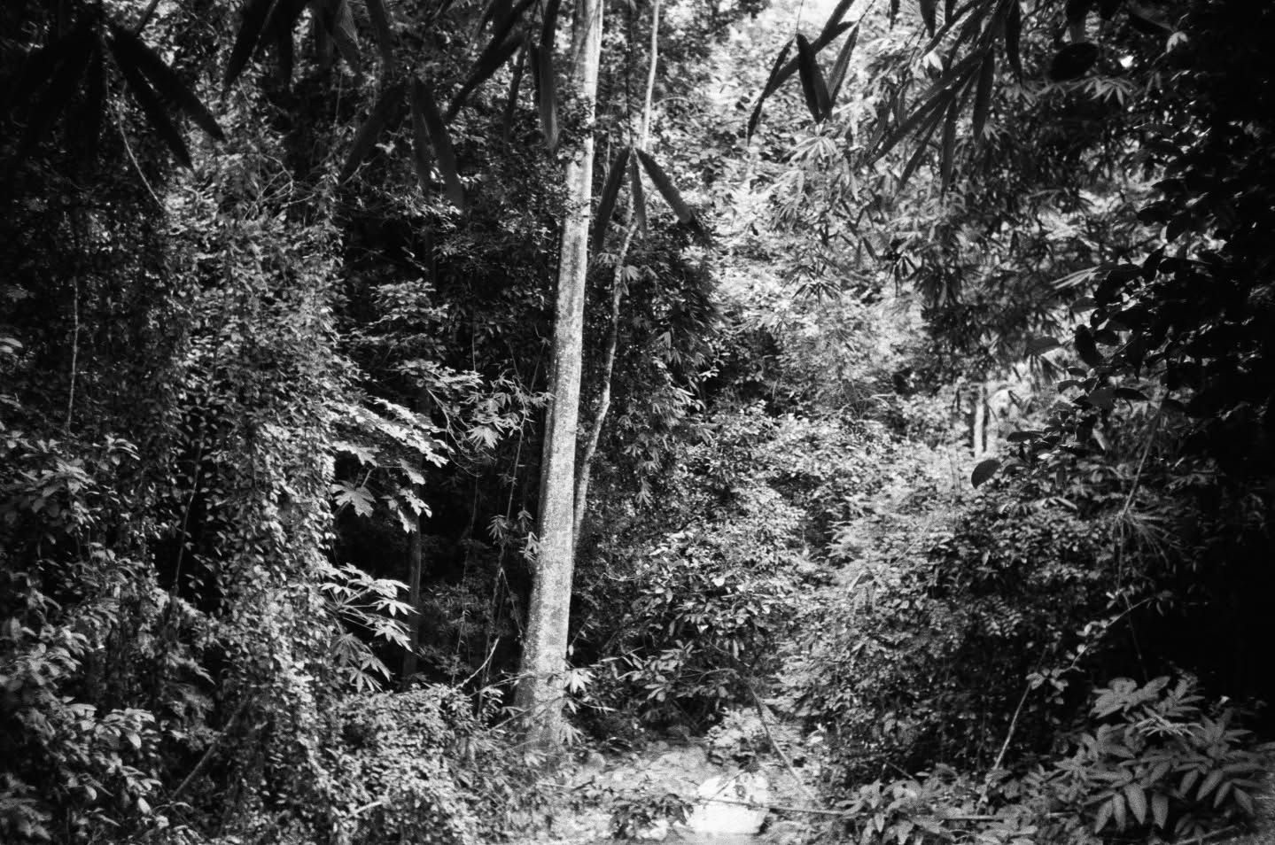 ไบเบิ้ล - วิชญ์ภาส สุเมตติกุล