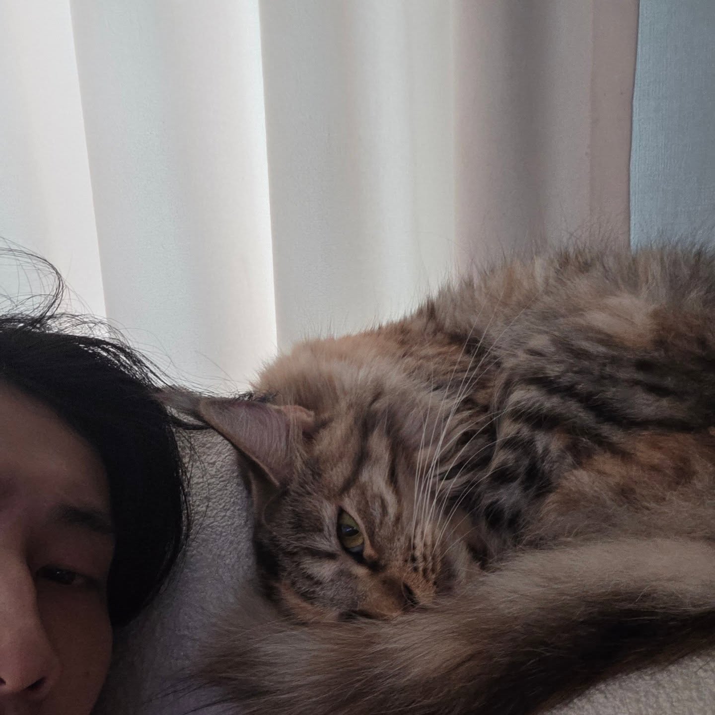 ไบเบิ้ล - วิชญ์ภาส สุเมตติกุล