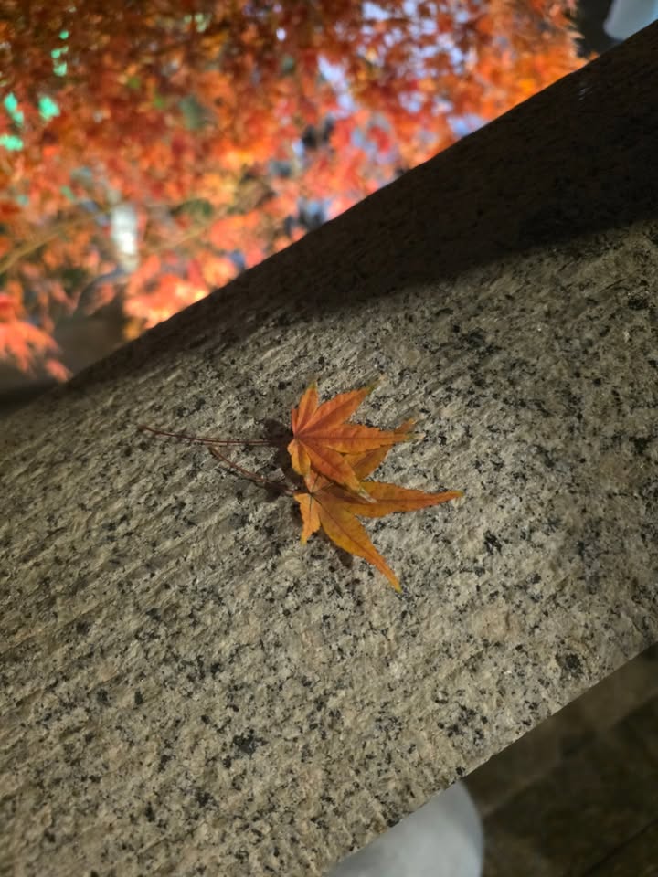 ไบเบิ้ล - วิชญ์ภาส สุเมตติกุล