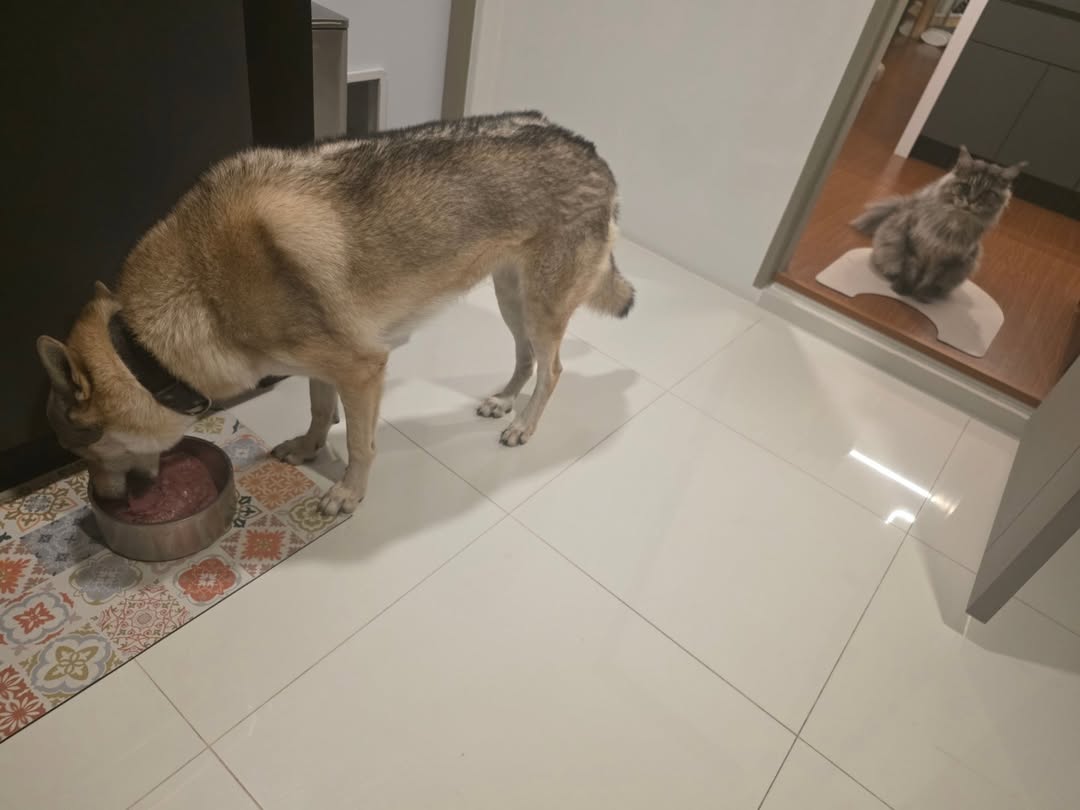 ไบเบิ้ล - วิชญ์ภาส สุเมตติกุล