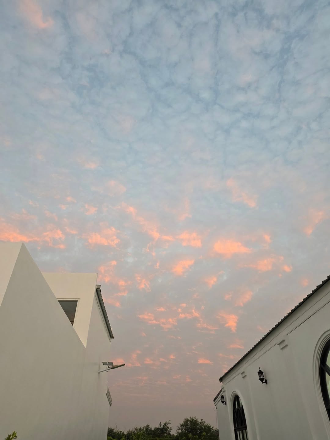 ไบเบิ้ล - วิชญ์ภาส สุเมตติกุล