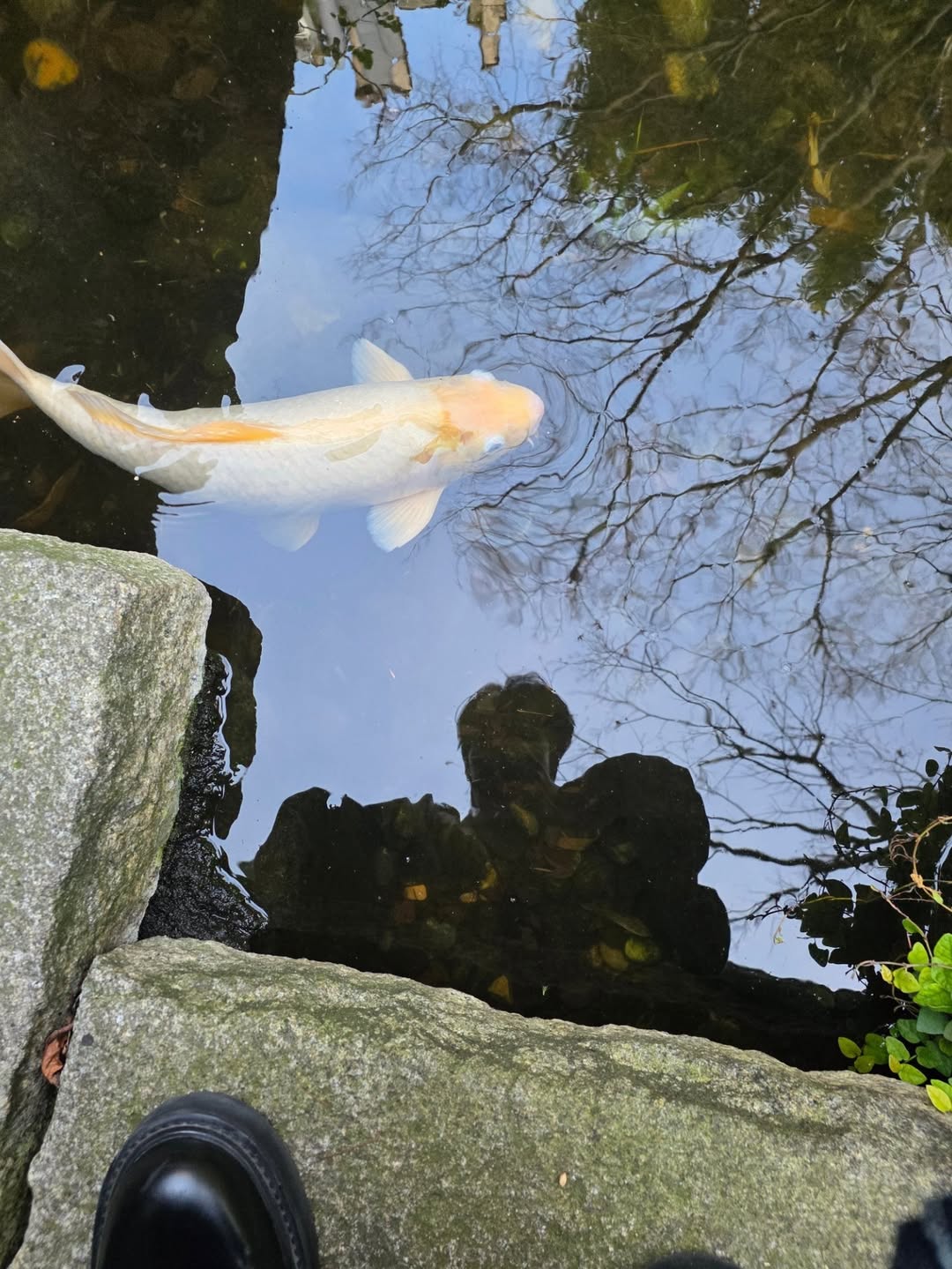 ไบเบิ้ล - วิชญ์ภาส สุเมตติกุล