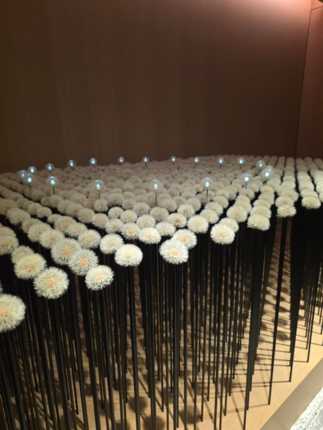 ไบเบิ้ล - วิชญ์ภาส สุเมตติกุล