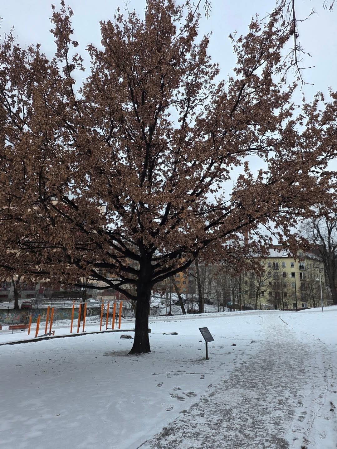 ไบเบิ้ล - วิชญ์ภาส สุเมตติกุล
