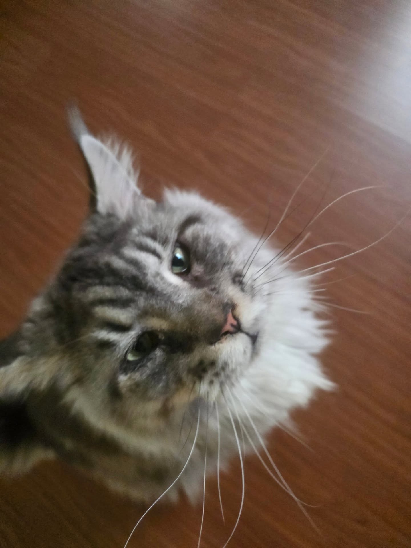 ไบเบิ้ล - วิชญ์ภาส สุเมตติกุล