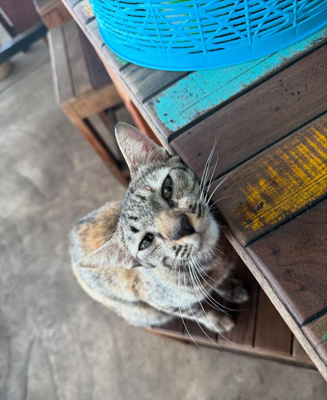 ไบร์ท - วชิรวิชญ์ ชีวอารี