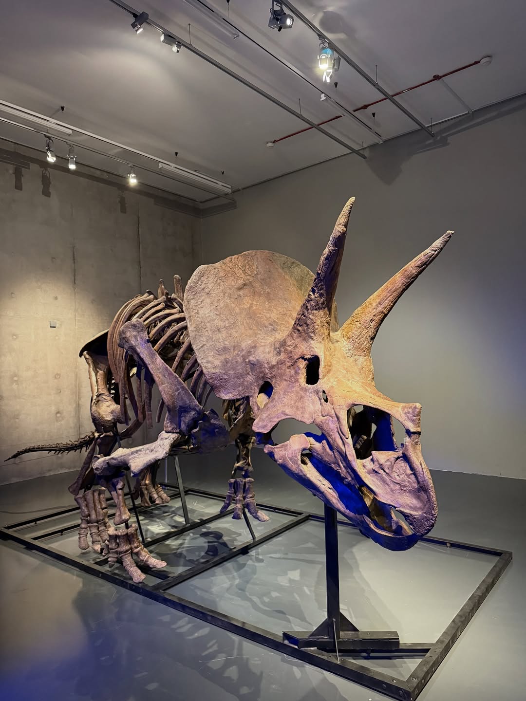 ไบร์ท - วชิรวิชญ์ ชีวอารี