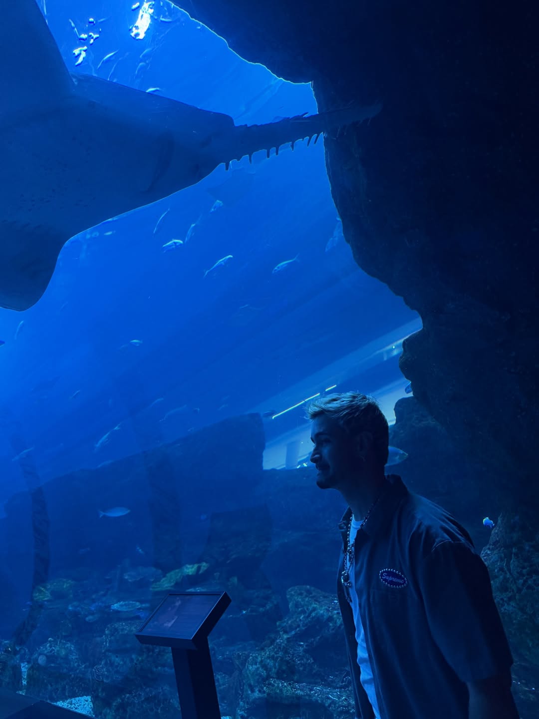 ไบร์ท - วชิรวิชญ์ ชีวอารี